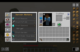 Server History