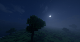 image-attachment_137d5383-e26e-457f-95c2-47ff0ec6bd15.png