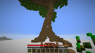 Tree Closeup