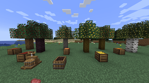 Fruit trees in fruit, crates, the Fruit Press and the Crushing Tub