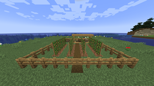 A Vineyard, where the Vintner works