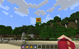Minecraft_ Forge 1.20.1 - Singleplayer 03_10_2026 20_07_31.png