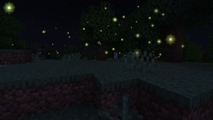 Fireflies at night