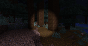 06_forest_night.png