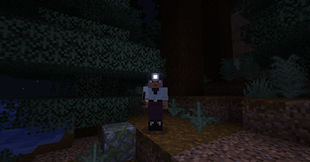 07_headlamp_on_head.png