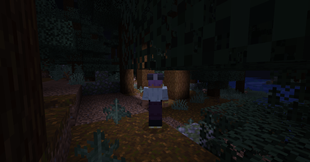 08_forest_night_third_person.png