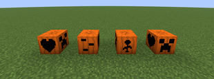 The same pumpkin from four sides