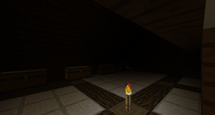 it's dark in here
