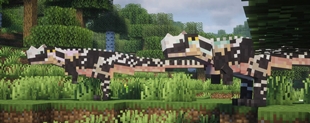 Ceratosaurus