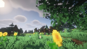 The villager
