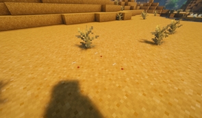 Mined field
