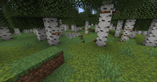 image-attachment_576d620d-fc85-4421-96e9-87ec2cd75aac.png