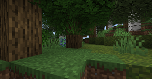 image-attachment_54e6ca6e-9480-4878-b465-60be1db018ee.png