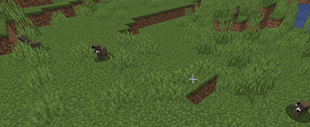 Screenshot 2026-10-04 195751.png