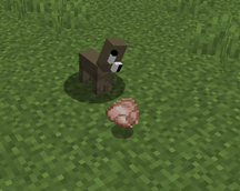 Screenshot 2026-10-04 195626.png
