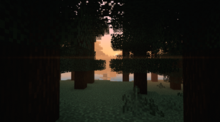 Preset: Fantasy Vibrant.png