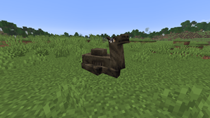 Mambo Camel