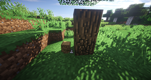 Chopping Trees