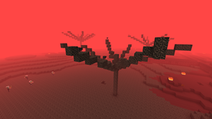 Wither Forest