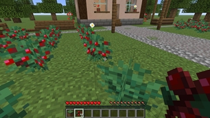 04-secondary-feature.jpg