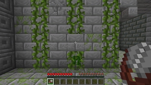 Cut a single vine segment with shears