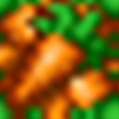 CarrotBlockTexture.png