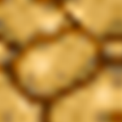 PotatoeBlockTexture.png