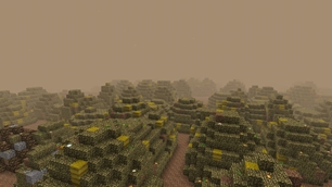 Seed Country