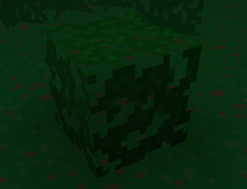 Reverted Texture of Leaves in v1.0.1