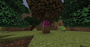 heispink.png