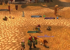 WoWScrnShot_100426_164845.jpg