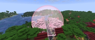 05-eternal-blossom-domain.jpg
