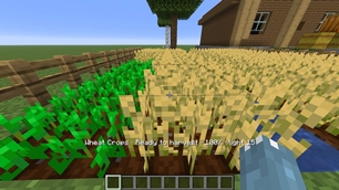 Inspect crop growth and light