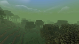 swamp
