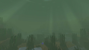 swamp underwater