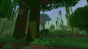jungle