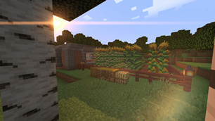Las milpas y bloques funcionales / The milpas and functional blocks