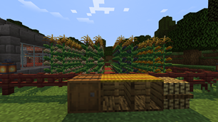 Herramientas y cultivos / Tools and crops