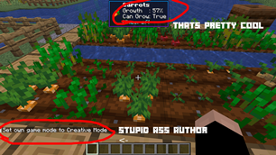 NNWITImage3.png