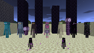 Endermen variants