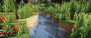Leaves floating on water