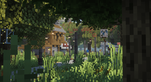 Under a tree a small city.