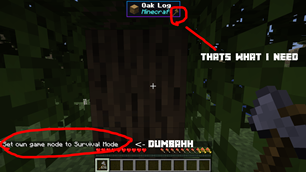 NNWITImage2.png