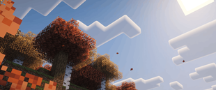 Works with mods and resource packs!
