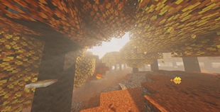 I'm experimenting god ray