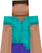 Long-Legged Steve