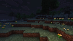 Woodland at night