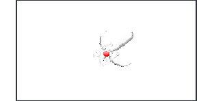 Angel.gif
