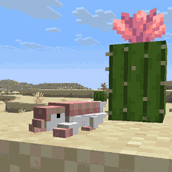 digging and other animations