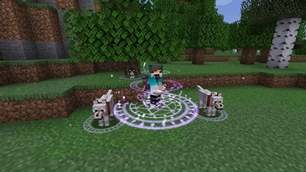 Your pets come along